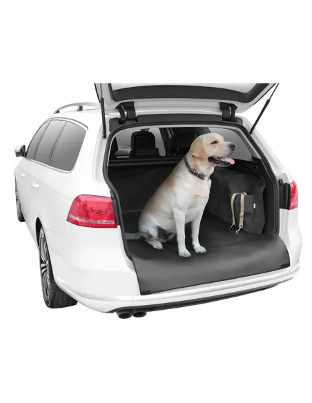 DEXTER M PROTEZIONE BAGAGLIAIO