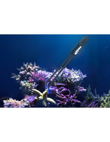 CORAL TWEEZERS 35,7CM MAXSPECT