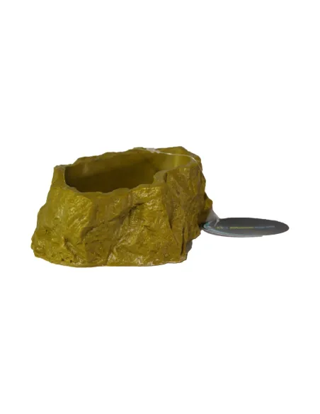 CIOTOLA MANGIME PER RETTILI