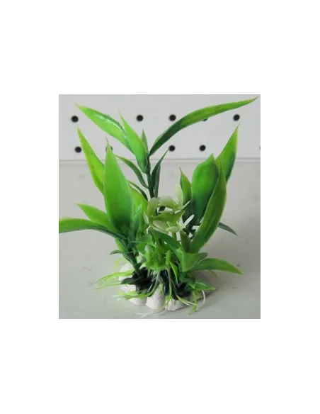 SET 12 PIANTINE 6 CM