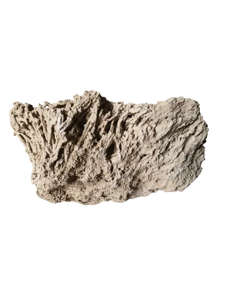 SPAGHETTI STONE TANGANIKA / MALAWI 1 KG