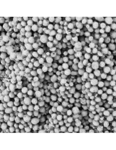 NANO TECH BIO PLUGS 25 PCS MAXSPECT