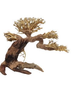 BONSAI TREE M 23*30CM 2