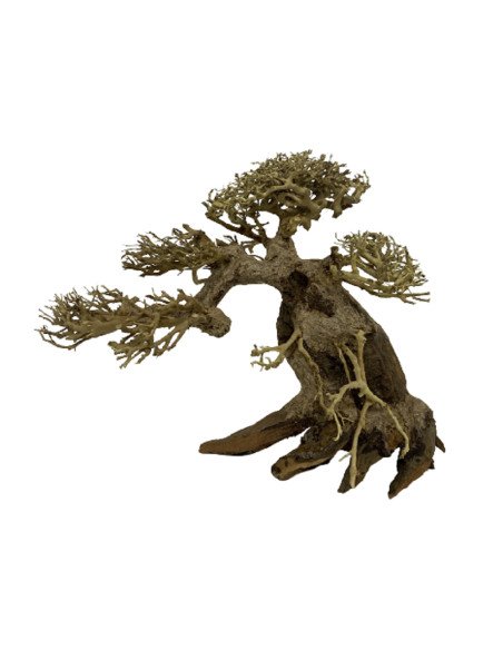 BONSAI TREE MS 20*25 CM