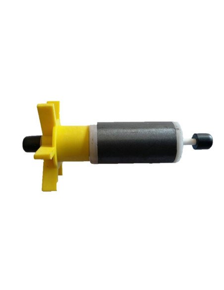 CHJ-5003 GIRANTE POMPA