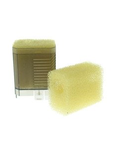 CHJ-502 SPUGNA POMPA