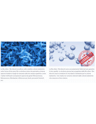 NEGATIVE IONS NANO TECH BIO SPHERE 1KG MAXSPECT