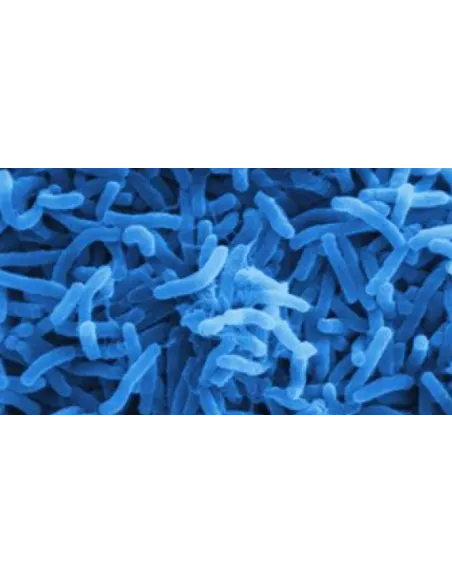 NEGATIVE IONS NANO TECH BIO SPHERE 1KG MAXSPECT