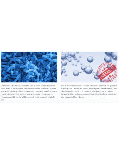 CA/MG NANO TECH BIO SPHERE 1KG MAXSPECT