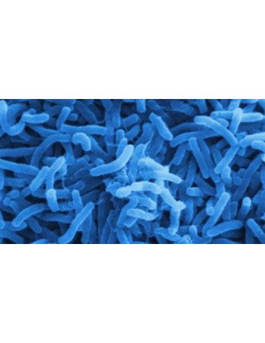 CA/MG NANO TECH BIO SPHERE 1KG MAXSPECT