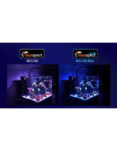 PLAFONIERA A LED 65W 30 - 60 CM STANDARD EDITION JUMP MAXSPECT