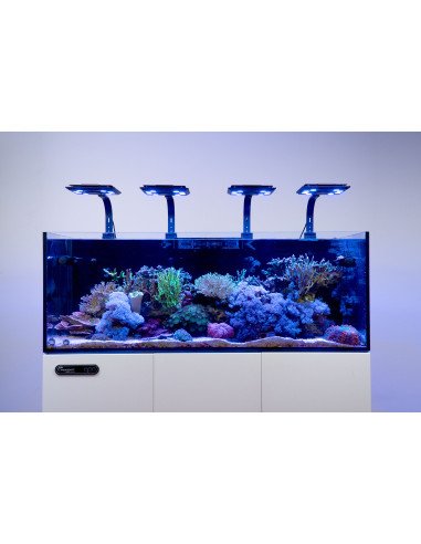 MJ-L260 PLAFONIERA A LED 63W 35-60 CM BLUE EDITION JUMP MAXSPECT