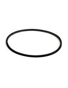 501 O-RING TESTA FILTRO