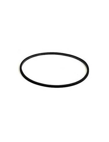 501 O-RING TESTA FILTRO