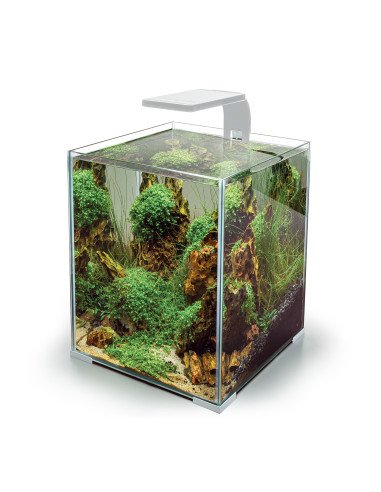 Aquael Leddy Smart BT 4.8W: Plafoniera LED Bluetooth per Acquari 10-50L