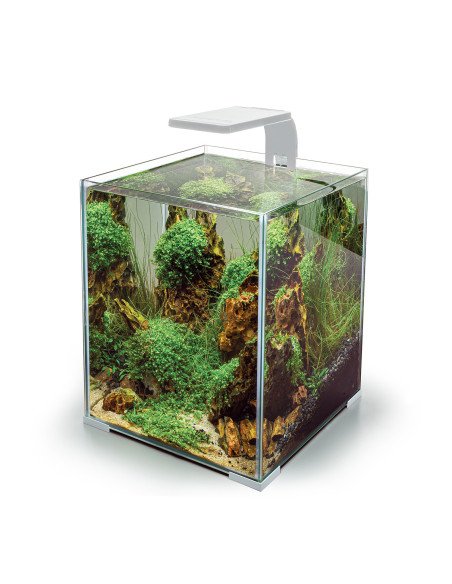 Aquael Leddy Smart BT 4.8W: Plafoniera LED Bluetooth per Acquari 10-50L