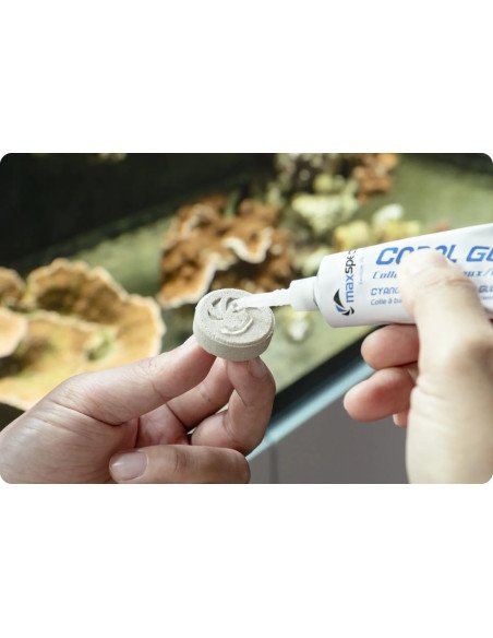 Maxspect Coral Glue 50g | Colla Gel per Coralli e Aquascaping