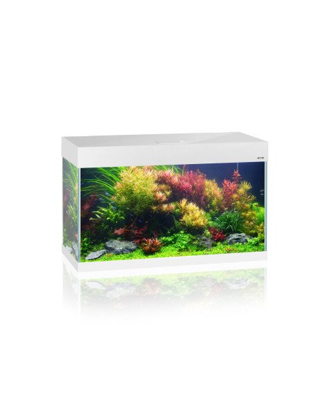 Acquario AQUAEL OptiSet 125 Bianco 125L | Vetro Optiwhite