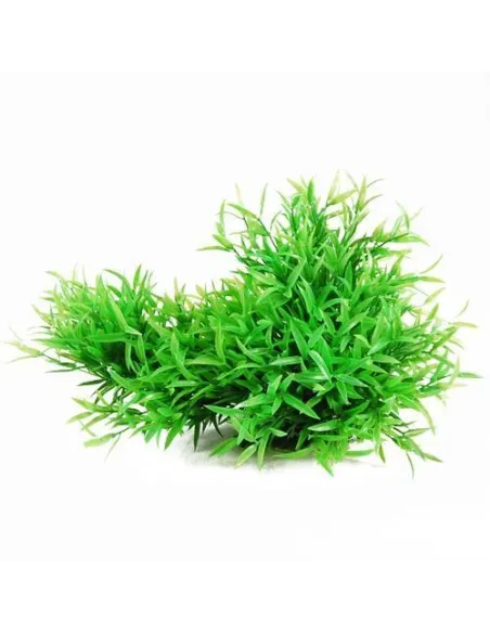 PIANTINA CON BASE 20CM